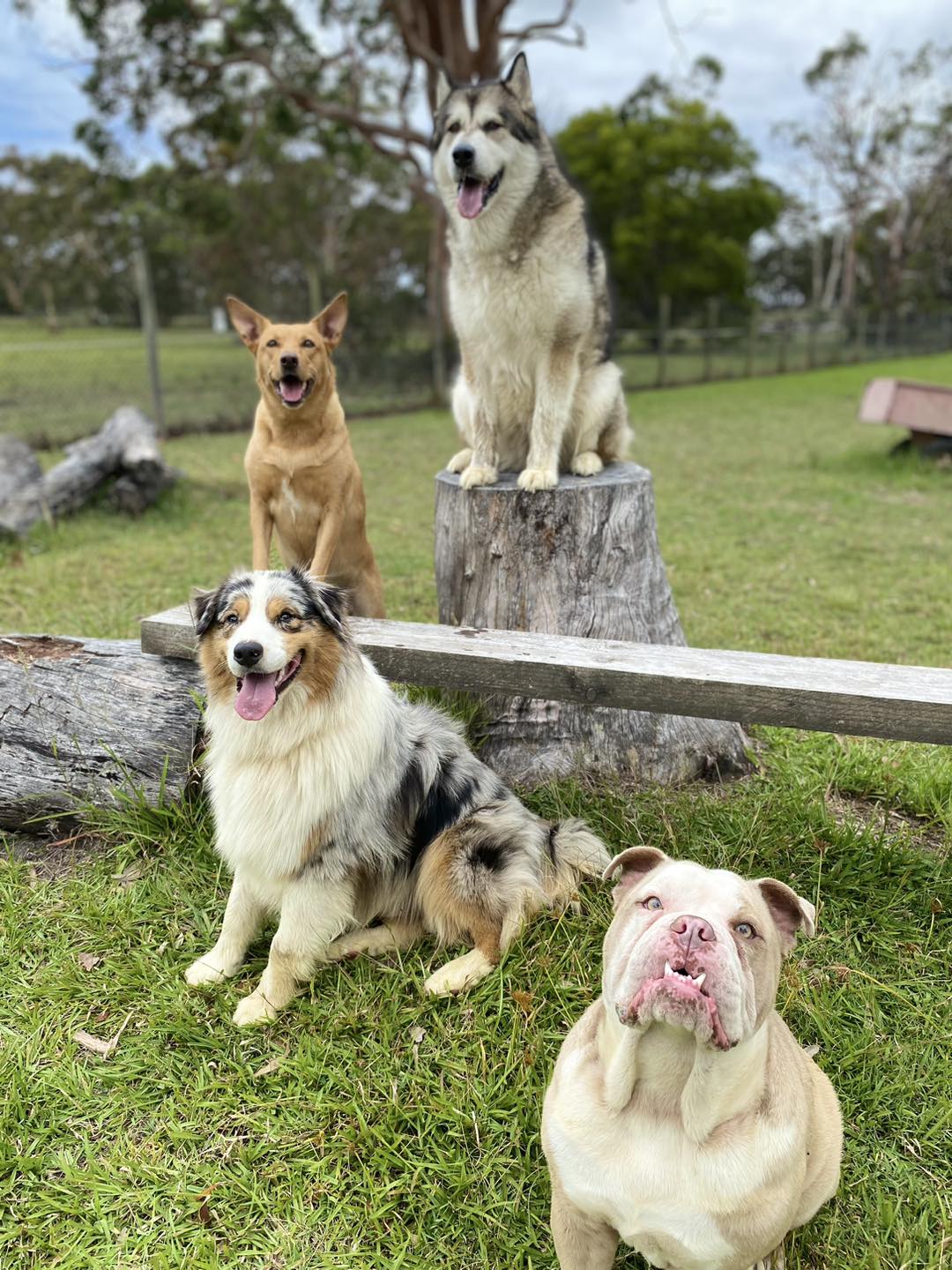 327746117_1261075308157761_2708693896773495683_n