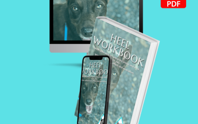 Heelers Workbook