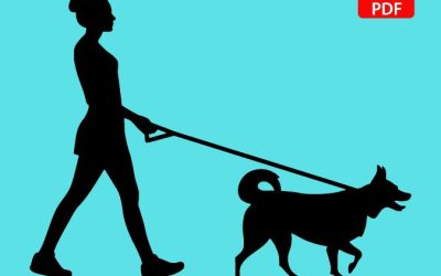 Heel Training Plan – Bundle