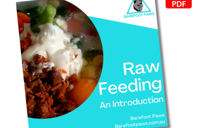 Raw Feeding Your Dog – FREE Introduction