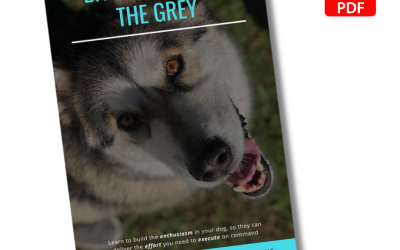 The Grey Workbook